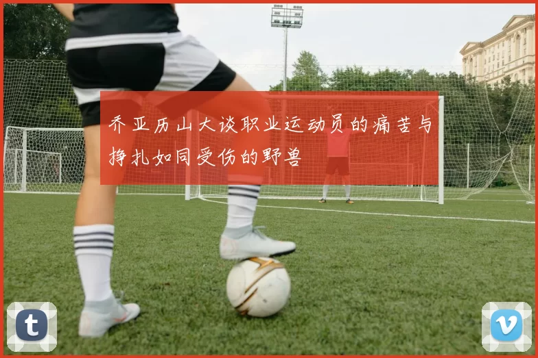 乔亚历山大谈职业运动员的痛苦与挣扎如同受伤的野兽