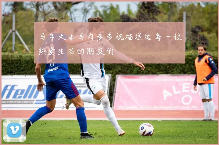 马年大吉马内多多祝福送给每一位热爱生活的朋友们